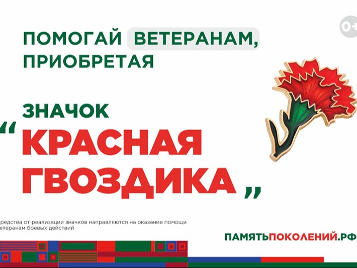 Ежегодная всероссийская акция помощи ветеранам «Красная гвоздика» Ежегодная всероссийская акция помощи ветеранам «Красная гвоздика».