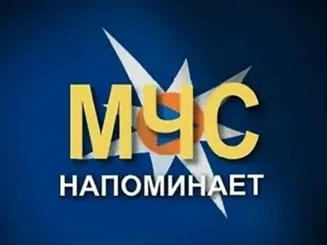 Сведения об оперативной обстановке с пожарами в 2026 году на территории Лужского района по состоянию на 10 августа 2026 г..
