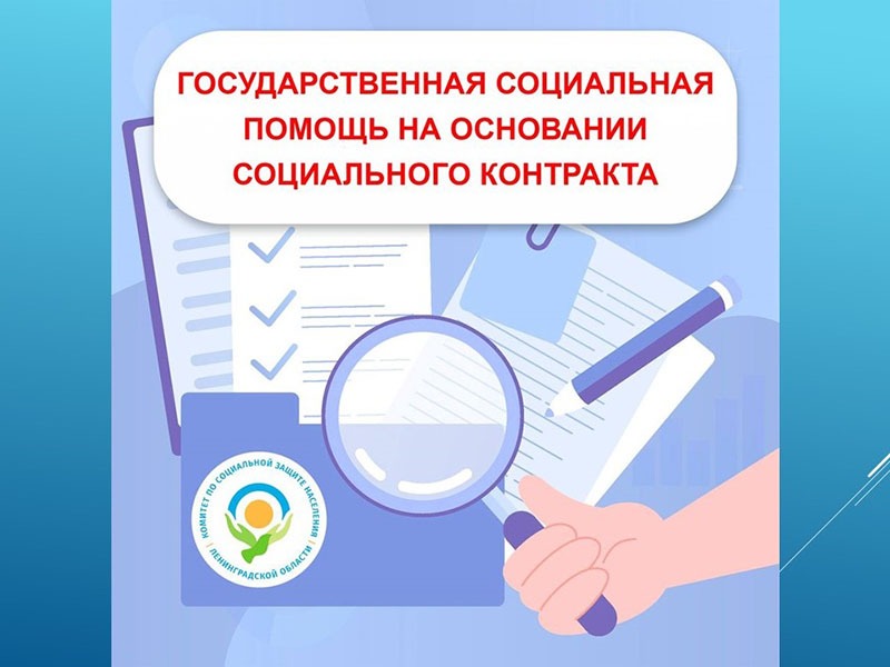 Работа, обучение или бизнес: кому и на каких условиях доступен соцконтракт в Ленобласти.